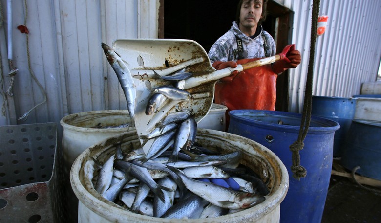 Fishermen Fight Bureaucrats to Defend Their Way of Life
