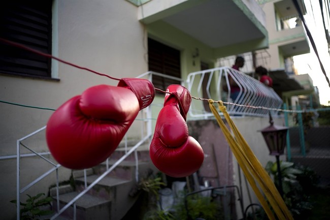 Female Boxer Withdraws From Match After Finding Out Her Opponent Is a Man - Vimarsana News