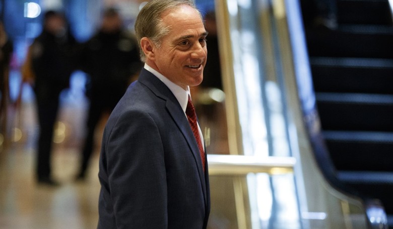Senate Panel Approves VA Secretary Nominee Shulkin