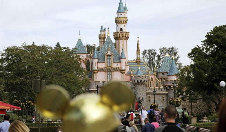 Democratic Socialists and Disneyland