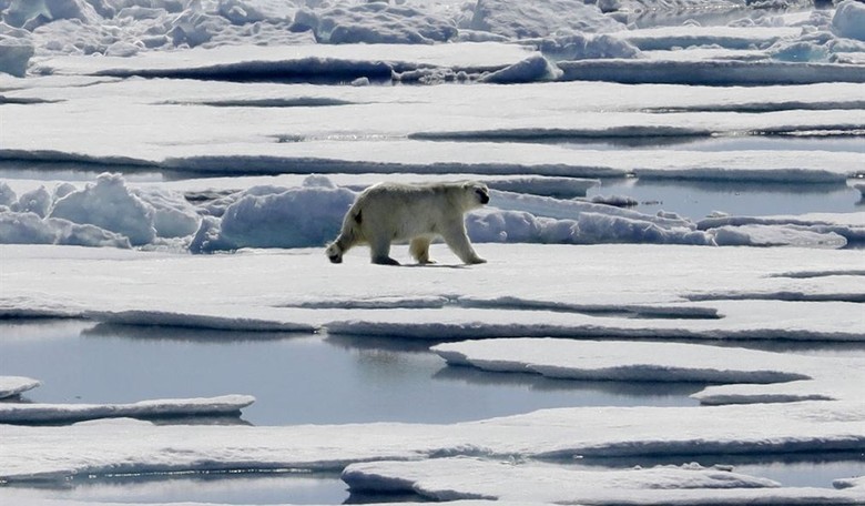 The Blessings of Climate Change