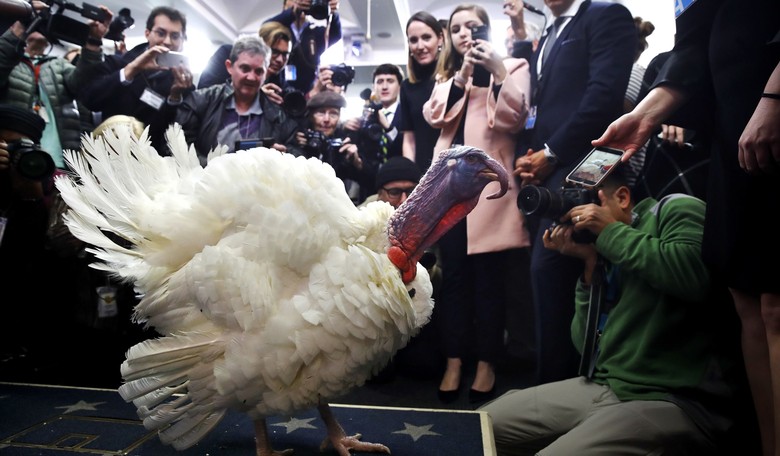 Environmentalists Wage War on Thanksgiving Tradition