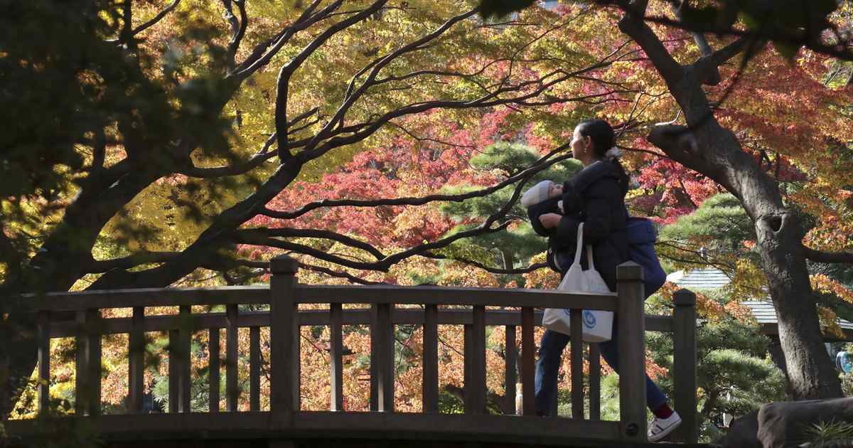 Autumn, Finally: A Season to Calm Our Politics