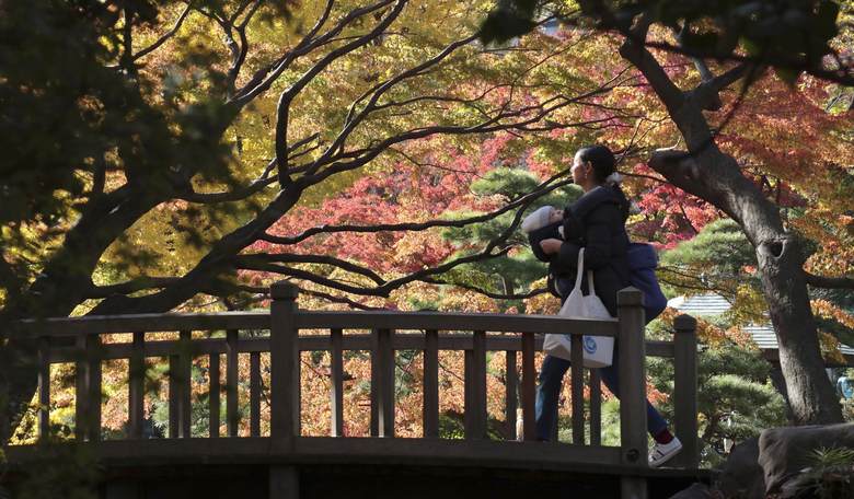 Autumn, Finally: A Season to Calm Our Politics