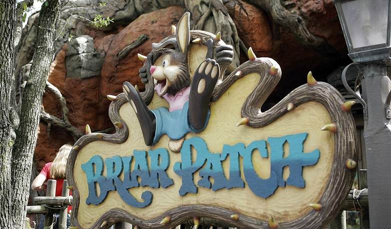 Disney Bows to Mob, Announces Plans to Retheme Splash Mountain