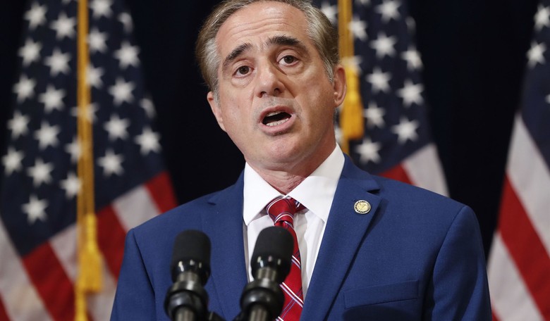 Report: VA Secretary Shulkin Turned Summit in Europe into 'Sightseeing' Trip