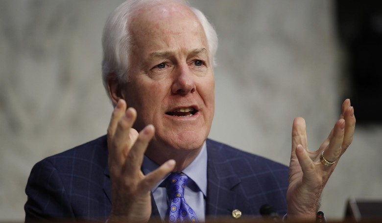 Senator Cornyn on Chinese Virus: 'That's Where It Came From'