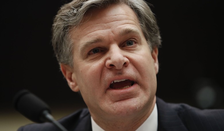 'No Finer Institution': Wray Defends His Agency Amidst Interrogation About Integrity 
