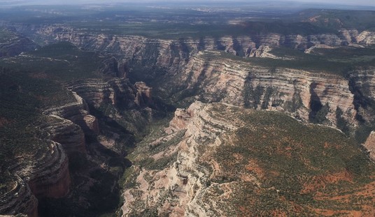 Environmental Policy Wishes for the New Year