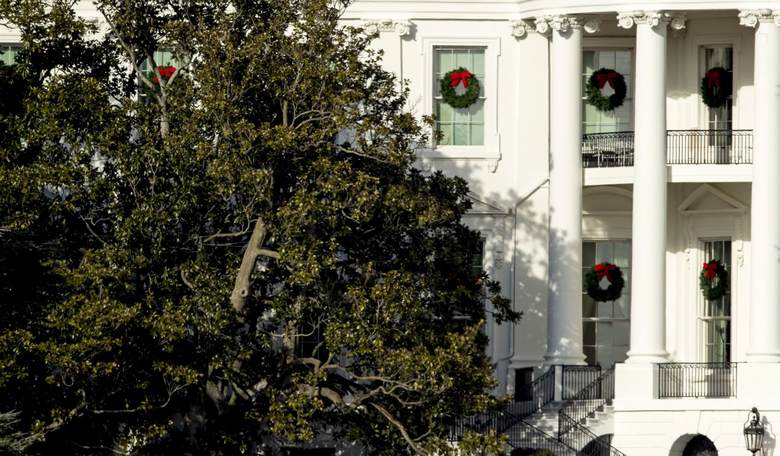 The President Plants a Tree 