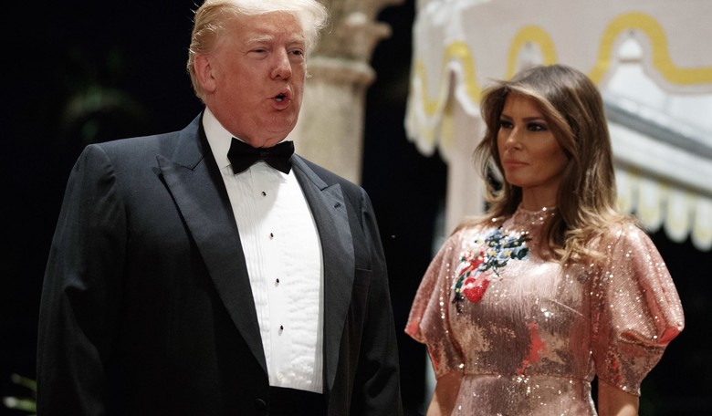 Trump's Two Greatest Assets: 'Mental Stability and Being, Like, Really Smart'