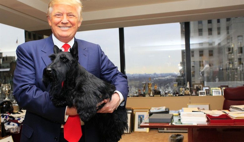 Trump Hilariously Roasts Biden’s Bite-Happy Dog—Then Imagines Himself Walking a ‘Lovely Little Poodle’