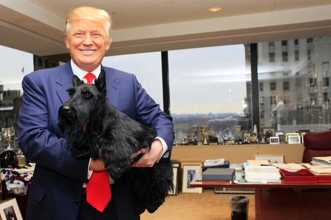 Trump Hilariously Roasts Biden’s Bite-Happy Dog—Then Imagines Himself Walking a ‘Lovely Little Poodle’