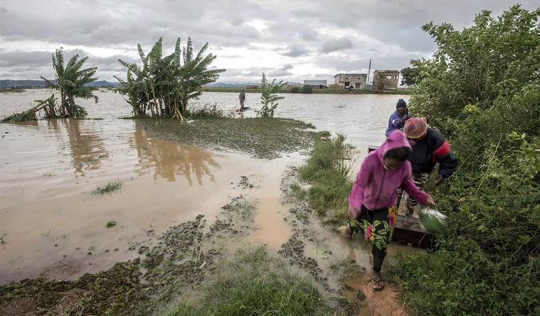 Leaping Leeches Loom Large in Madagascar