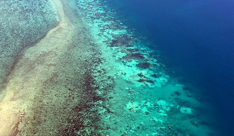 Are We Destroying the Great Barrier Reef?