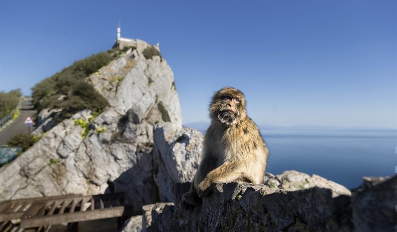 Like a Rock: Starmer Sold Out Gibraltar, Too
