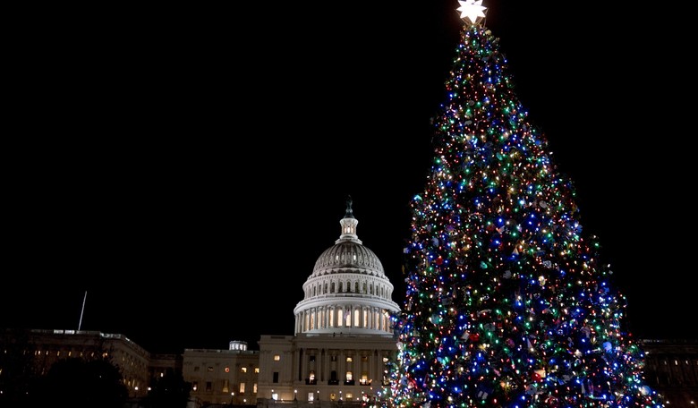 Biden Time: National Christmas Tree Falls Over, Protesters Arrested at Capitol Tree Lighting 