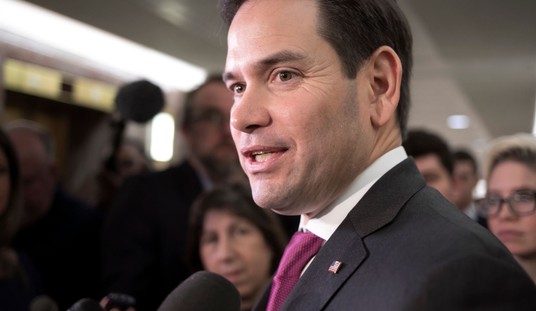 Sen. Rubio's BRILLIANT Analogy, Border Wall to TSA Airport Security 