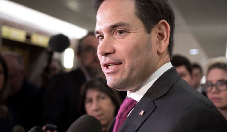 Sen. Rubio's BRILLIANT Analogy, Border Wall to TSA Airport Security 