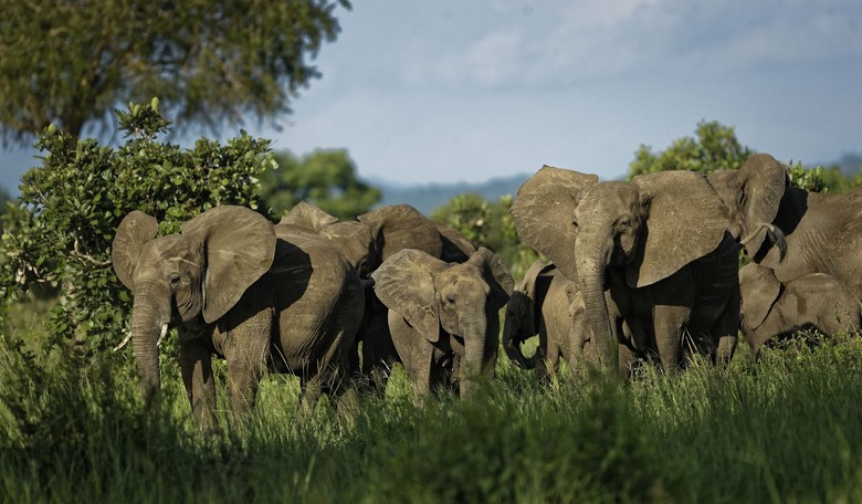 It's Time for Conservatives to Address Environmental Issues