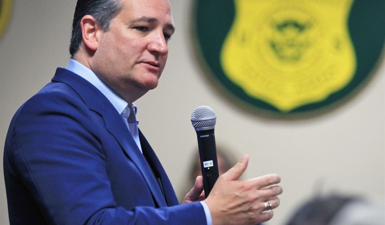 Immigration Firestorm: Tune Out the Shouting and Read Ted Cruz's Solid Plan on Family Separation