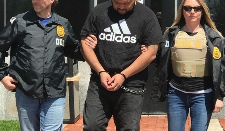 In Calling MS-13 Gang Members 'Animals,' Trump Was Kind