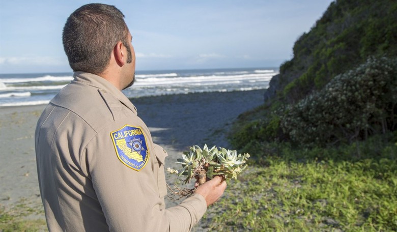 California Entrepreneur Sues State Over Rattlesnake Training Ban