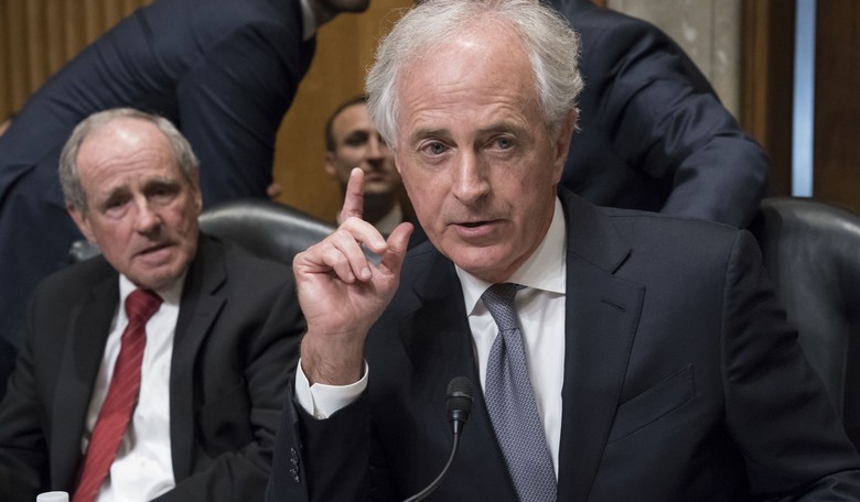 GOP Senator Remarks on His Colleagues' 'Cult-like' Relationship With Trump