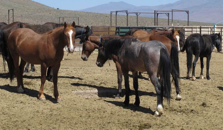 Relocating BLM HQ Out West Was Based in True Conservation, Not Racism