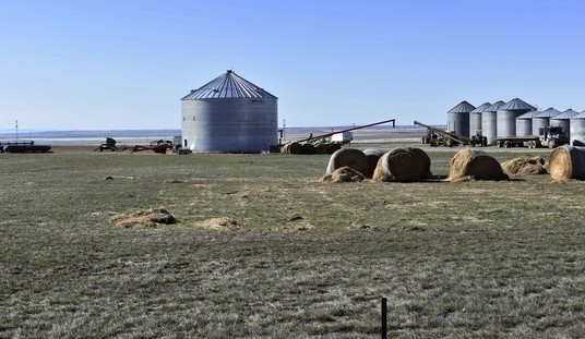 U.S. Sugar Policy Stuck In A 20th Century Time Warp