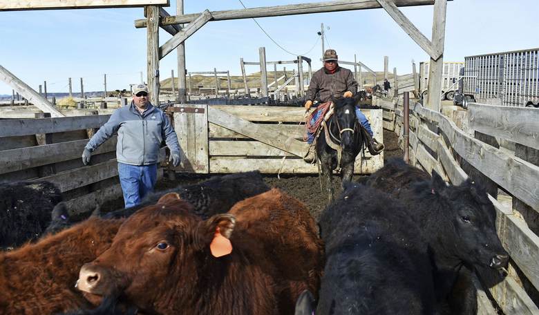 A Massive Meatpacking Strike Arrives at the Worst Possible Time for Beef Prices
