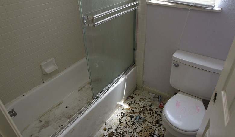 Berlin's Ministry of Bathrooms Decides One Shower Is Too Many