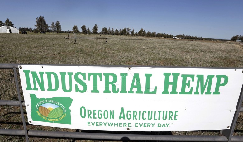 Senator Rand Paul Warns Provision in the Appropriations Bill Would Destroy America's Hemp Industry