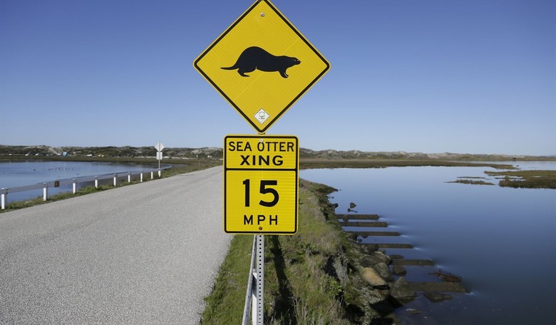 The Pesky Moss Landing Lithium Ion Battery Storage Facility That Just Won't Stop Burning