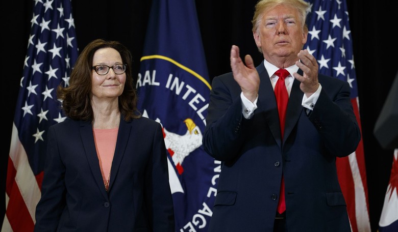 What the CIA Director Is Betting On to Keep Russiagate Documents Under Seal...Allegedly 