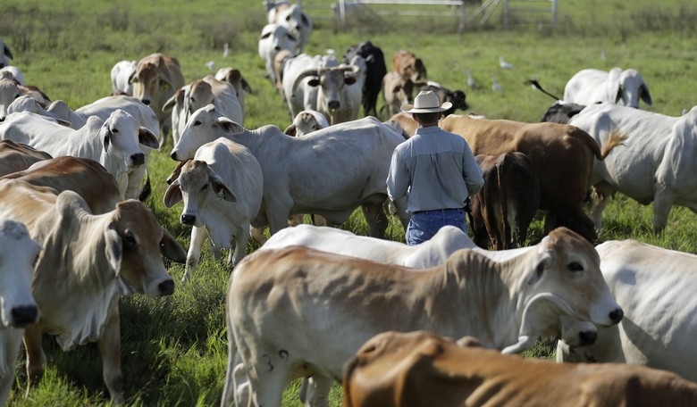 Letitia James vs. Beef: The War on Food