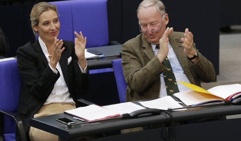Top Spot: Reviled 'Right-Wing' AfD Now Germany's Most Popular Party