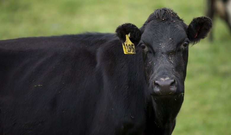 Fresh Fun for All the Pennsylvania Farm Show