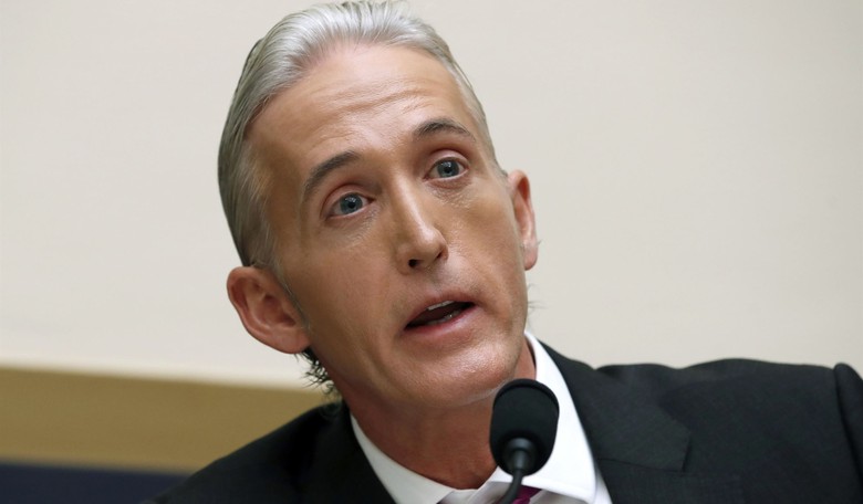 Gowdy Rips Democrats' Impeachment Case
