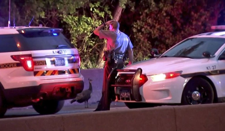 Three Police Officers Killed, Two wounded in York County, Pennsylvania Shooting