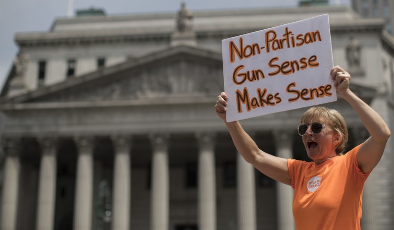 State Gun Control Initiative May Be On November Ballot Despite Questionable Petition Practices