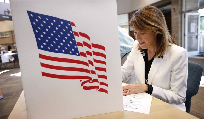 Dem Challenger Cindy Axne Defeats Incumbent GOP Rep. Young in Iowa's 3rd Congressional District