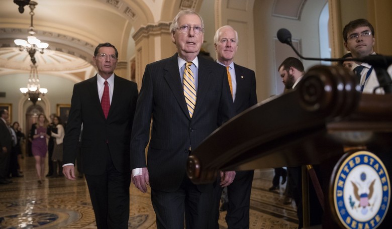 Senate Majority Leader Mitch McConnell Promises Fix on Family Border Separations