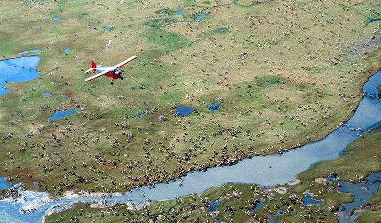 Alaskans Challenge Biden Administration's Cancellations of ANWR Leases