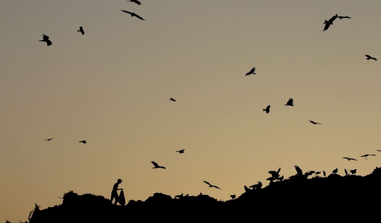 Dethroning Anti-GM Anarchy: The Next Green Revolution in India?