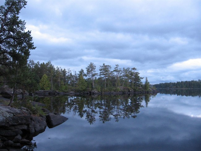 Uglification As Control: The Assault on Beauty