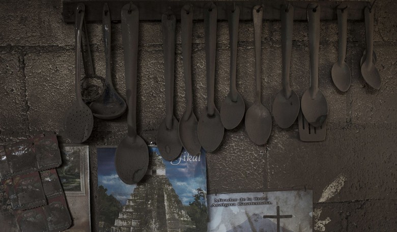 The Great Spatula Panic of 2024
