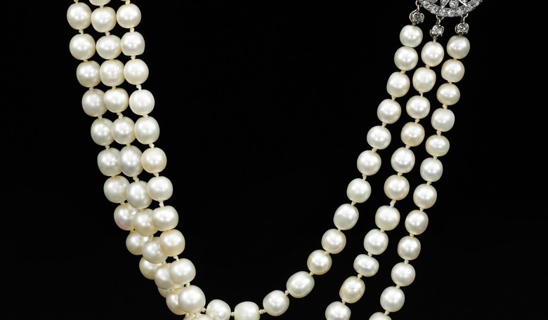DHS Arrests Illegal Alien Jewelry Thieves