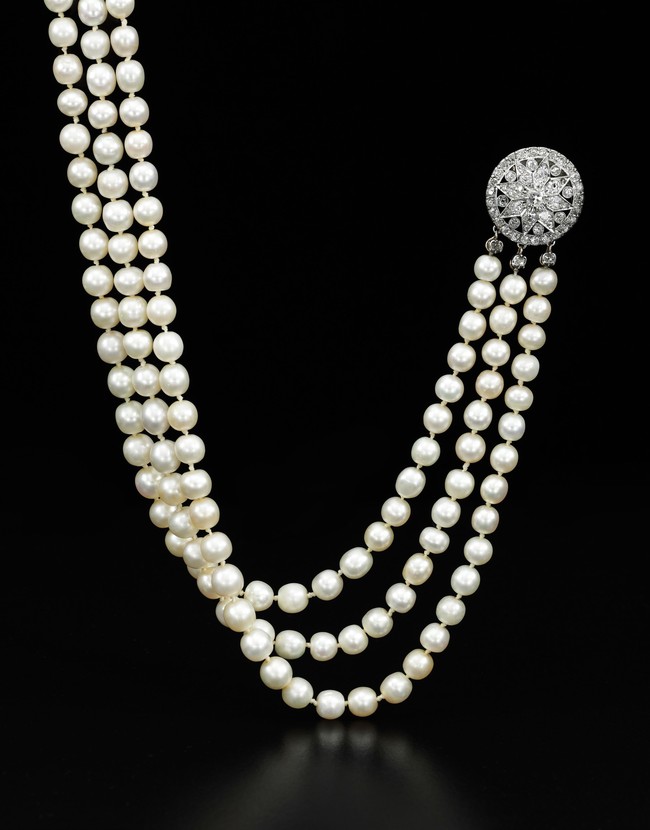 DHS Arrests Illegal Alien Jewelry Thieves