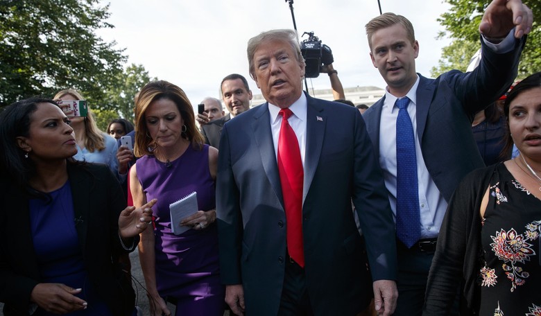 Highlights From Trump's Impromptu Interview on White House Lawn 